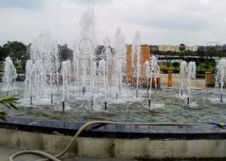 images