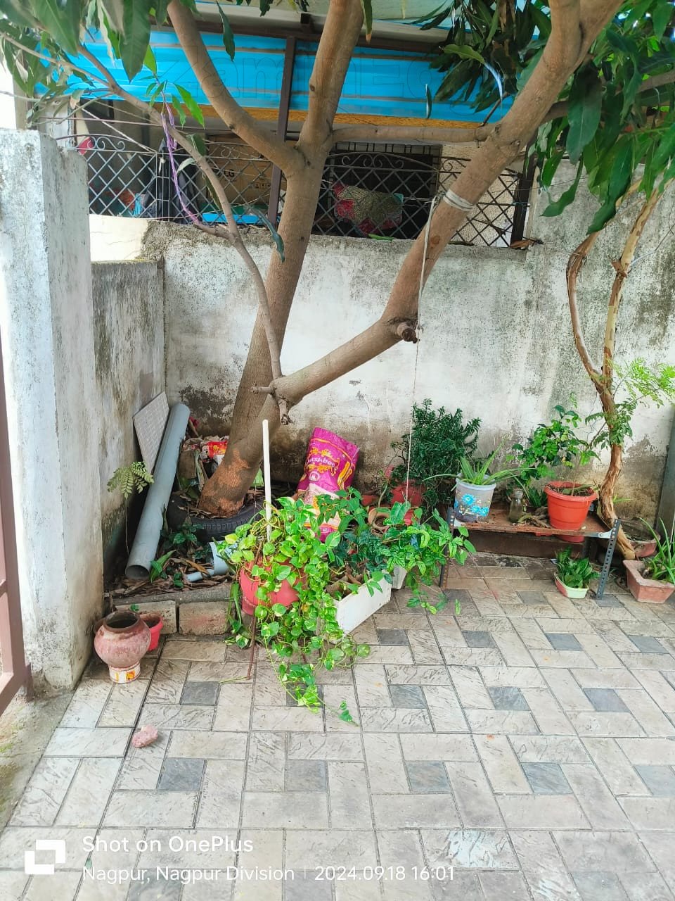 images